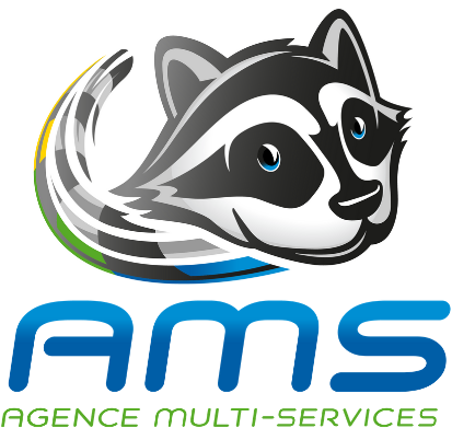 AMS - Agence Multi Services : Nettoyage et entretien Mulhouse Alsace