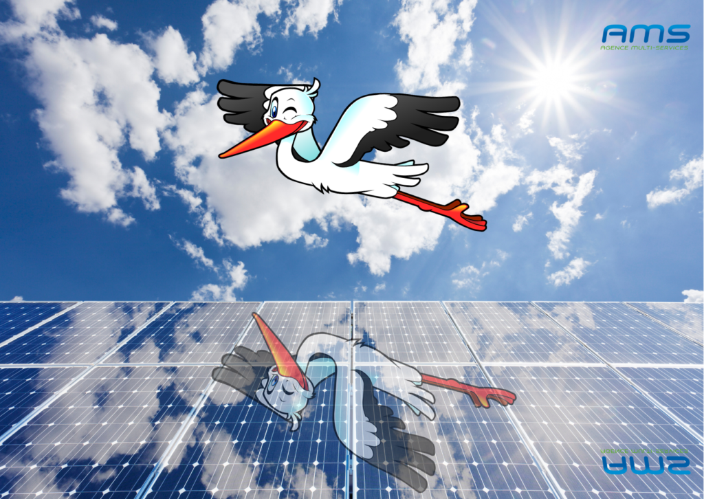Avoir des panneaux solaires propres pour optimiser la production énergétique