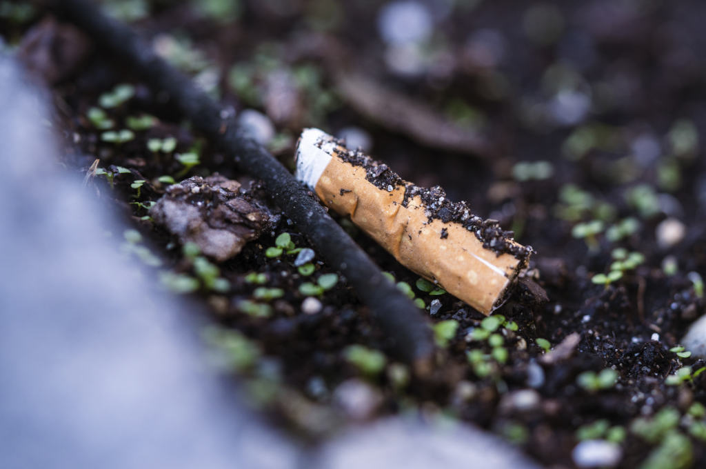 Cigarette-environnement