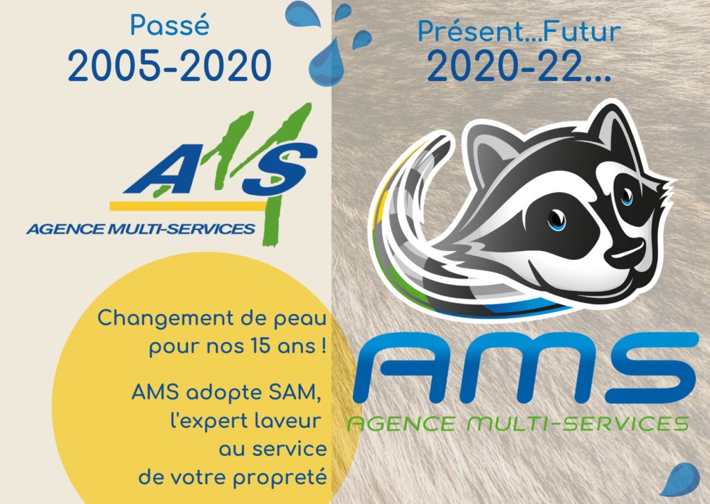 Nouveau Logo AMS