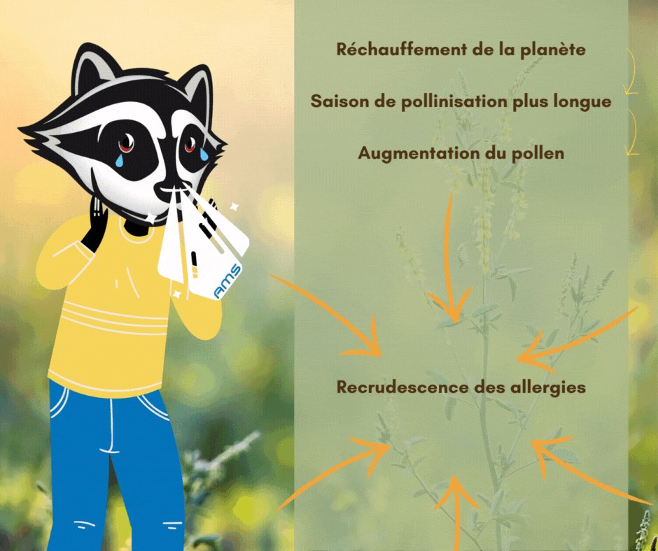 Allergies-Pollen_Astuces_AMS