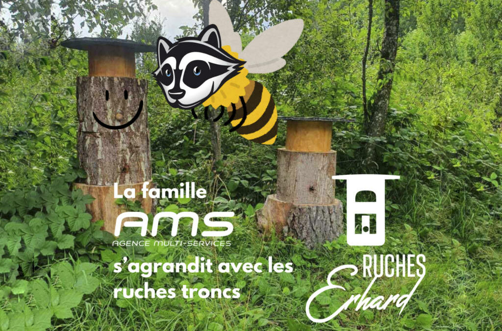 L’Équilibre Délicat de l’Apiculture Urbaine