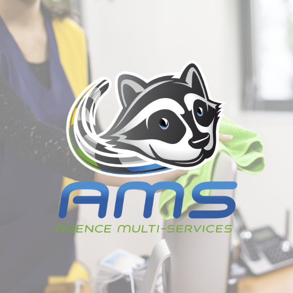 Image Logo AMS Mulhouse