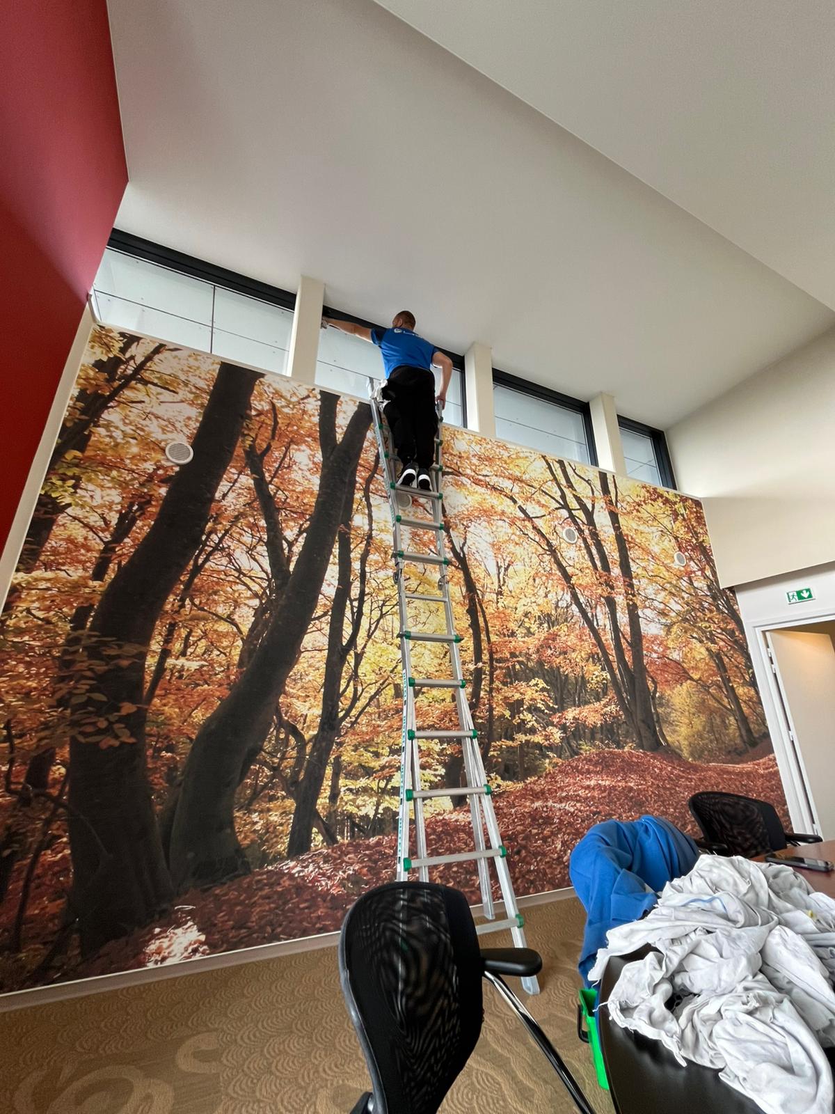 Chantier de nettoyage de vitres difficiles d'accès à Rixheim