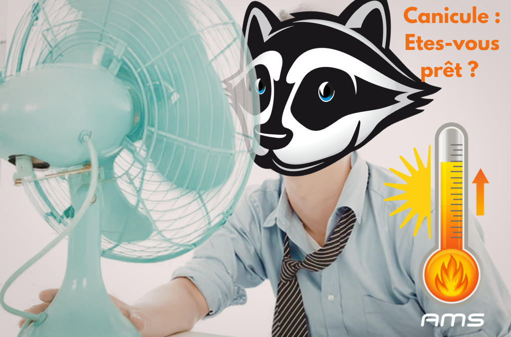Canicule et nettoyage professionnel à Mulhouse : comment garder des locaux propres et sains en été ?